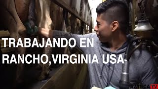 Lechería cuanto ganó en usa 🇺🇸 [upl. by Webber422]