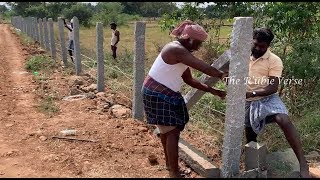 Fencing Work in Agricultural Fencing Stone in Fittings of Barbed Wire Fencing Tamil Nadu [upl. by Alliscirp]