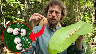 Trucos para sobrevivir en la selva  ¿Qué insectos y hongos comer [upl. by Nahta825]