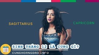 Sinh tháng 12 là cung hoàng đạo gì  CUNGHOANGDAOINFO [upl. by Stearne]