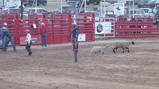 july 5th 2024 muttin busting bandera rodeo [upl. by Rehpotsihc]