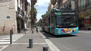 Les bus à Perpignan [upl. by Molli]