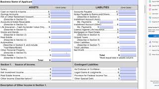 The SBA Form 413 or Personal Financial Statement and Everything You Need to Know to Fill It Out [upl. by Zetes]