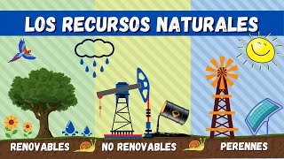 Recursos Naturales  Videos Educativos Para Niños [upl. by Placidia]