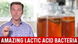 Lactic Acid Bacteria and Fermented Foods Benefits – DrBerg [upl. by Aiht808]