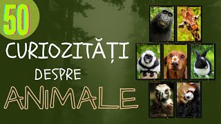 50 curiozități despre animale [upl. by Atnohs]