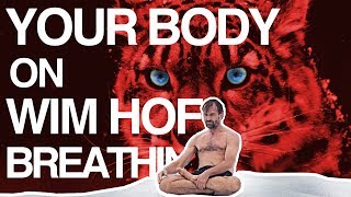 Control your Breath Control your Body Wim Hof Explained [upl. by Eittap]