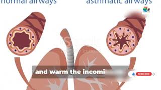 Gaseous exchange in human lecture 2 chapter 10 grade 10 [upl. by Acimahs]