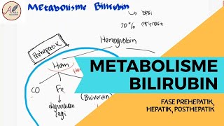 Metabolisme Bilirubin Prehepatik Hepatik Posthepatik dan Penyakit Kuning ikterik [upl. by Josy147]