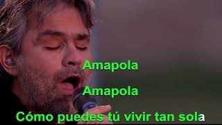 Amapola 2  ANDREA BOCELLI [upl. by Kolivas773]