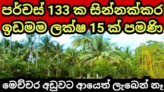 පර්චස් 133 ක සින්නක්කර ඉඩම ඇදහිය නොහැකි තරම් අඩුවට  Land for sale  Pol idam  Coconut land [upl. by Ekalb]