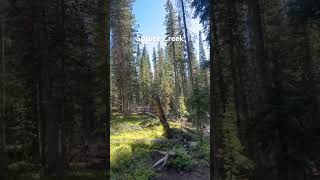 Spruce Creek Hiking Trail Outside Breckenridge Colorado [upl. by Nylorac624]