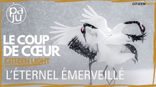 COUP DE CŒUR DE CITIZEN LIGHT  quotVincent Munier l’éternel émerveillé quot [upl. by Benson]