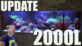 2000L Meerwasseraquarium nach 15 Jahren Standzeit [upl. by Cherise]