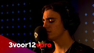 Tamino  Live at 3voor12 Radio [upl. by Saxen]