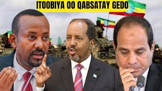 WARARKA SOOMAALIYA CIIDAMADA ITOOBIYA EE GOBOLKA GEDDO LA GEEYAY [upl. by Arhna978]