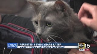 Cat reunited with its owners seven years later [upl. by Casper]