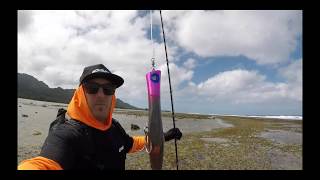 Rarotonga cook islands GT fishing [upl. by Nickey719]