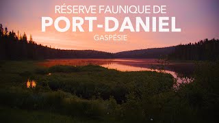 Réserve Faunique de PortDaniel  Gaspésie  Travel Film 4K [upl. by Pallas]