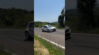 Rally Salsomaggiore Terme 2024 Ps4 Pellegrino Parmenese B rally [upl. by Landahl]