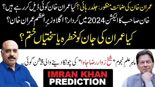 Imran Khan Surprising Prediction by Astro Jawa  Next Prime Minister  Elections 2024 [upl. by Granny]