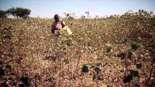 The Inclusive Business Models approach  The case of Cotton in Kenya [upl. by Bianca]