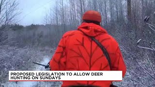 Massachusetts lawmakers discuss proposed bill to allow deer hunting on Sundays [upl. by Tormoria]