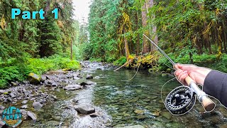 Catching a HUGE fish in a TINY CREEK 34 Inches  Fly Fishing Washington [upl. by Ihcehcu35]