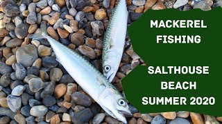 Summer 2020 Mackerel Fishing  Salthouse Beach North Norfolk  Catch And Cook Quest  Special Guest [upl. by Packton562]