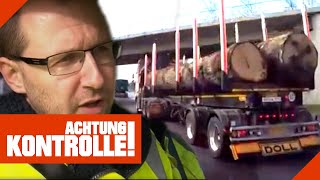 Vollbeladener HolzLKW auf der Autobahn Ist er überladen  Achtung Kontrolle  Kabel Eins [upl. by Stryker]