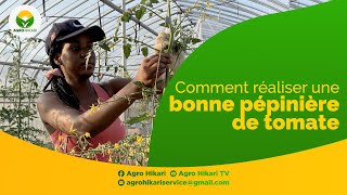 AGRICULTURE  Comment faire une bonne pépinière de tomate [upl. by Roi]