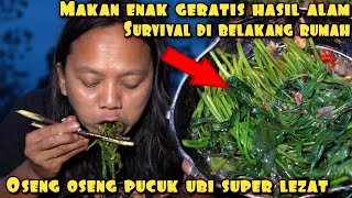 DEDE INOEN OSENG OSENG PUCUK UBI MAKANAN LEZAT GERATIS HASIL ALAM [upl. by Lenoj]