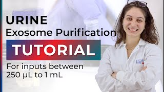 Urine Exosome Purification Tutorial [upl. by Rankin]