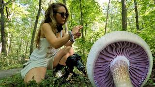 Wisconsin Mushroom Hunting amp Bike Rides [upl. by Kamillah]