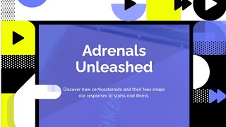 Mastering adrenal steroids and adrenocortical antagonists [upl. by Matthieu95]