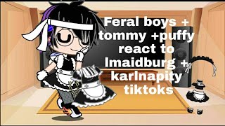 feral boys react to lmaidburg  karlnapity tiktoks  ft puffy tommy [upl. by Aivatnuahs]