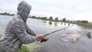 Pecanje šarana i amura  Revir na reci Jegrički kod Žablja Vojvodina Dubinsko pecanje Carp fishing [upl. by Edd]