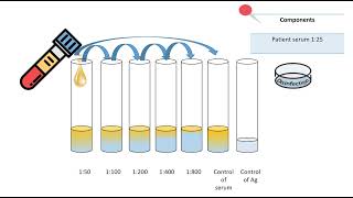 Tube agglutination test [upl. by Gnik]