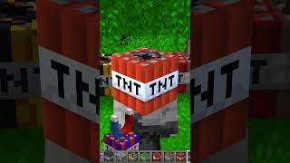 Warden Lawan TNT Overpowered Siapa yang Menang Part 1 shorts minecraft [upl. by Ahseinad]