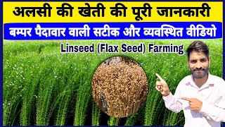 अलसी की खेती की पूरी जानकारी  Alsi Ki Kheti Ki Puri Jankari  Linseed Farming  Flax Farming [upl. by Stegman]