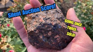 Cabbing Some Beautiful Llanite That Was Labeled Wrong In A Silent Rock Auction [upl. by Durware198]