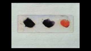 How to Do a Gram Stain Differentiate Grampositive and Gramnegative Bacteria [upl. by Wincer]