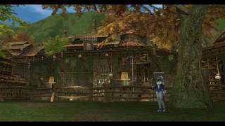 Lineage 2  Hunters Village Theme [upl. by Borras]