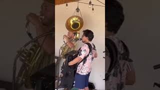 Fuentes de Ortiz cover punto inédito con tuba corridos regionalmexicano fuentesdeortiz [upl. by Ihdin133]