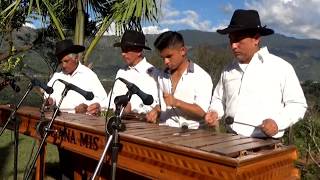 Son Tradicional Marimba Hose Ana Mis [upl. by Llain]