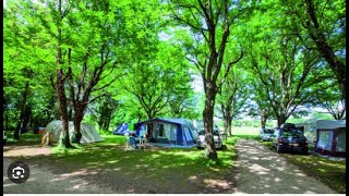 Camping reservation  Qui est le premier a avoir camping reservation [upl. by Akcinat]