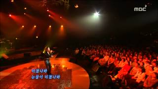 IVY  Foolish girl 아이비  바본가봐 For You 20060126 [upl. by Ihcas]