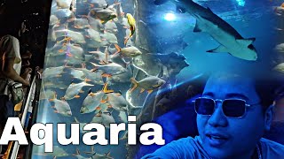 KLCC AQUARIA Malaysia😊🫰🏻🫰🏻 [upl. by Naerol]