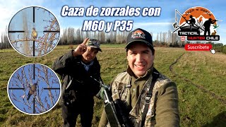 Caza y rastreo de zorzales con M60  Buscamos sin parar al rey de los zorzales Parte 1 [upl. by Lucine838]