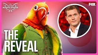 The Reveal Colton Underwood is Lovebird  Season 11  The Masked Singer [upl. by Vena]